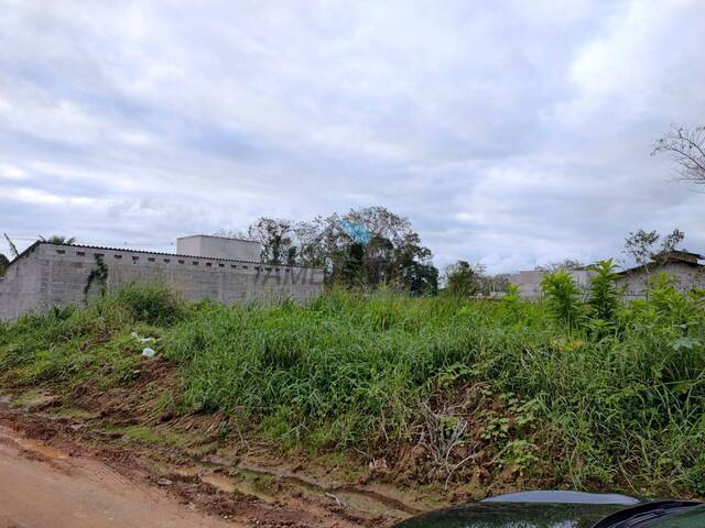 #782 - Terreno para Venda em Caraguatatuba - SP