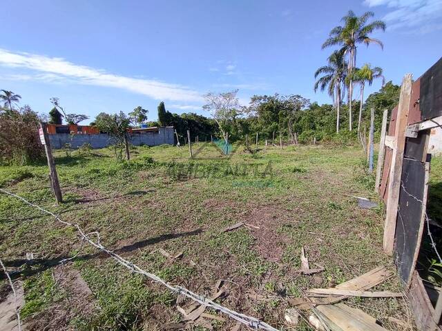 Terreno para Venda em Caraguatatuba - 3