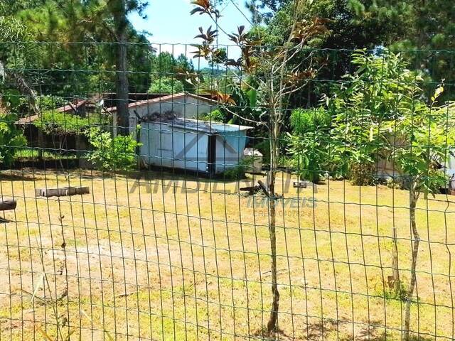 Terreno para Venda em Caraguatatuba - 4