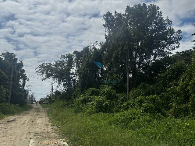 Terreno para Venda em Caraguatatuba - 4