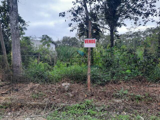 #1143 - Terreno para Venda em Caraguatatuba - SP