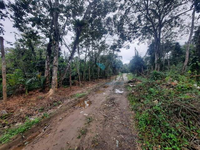 #1143 - Terreno para Venda em Caraguatatuba - SP