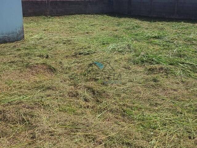 #1146 - Terreno para Venda em Caraguatatuba - SP