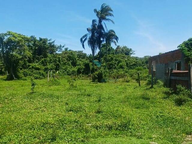 Terreno para Venda em Caraguatatuba - 2
